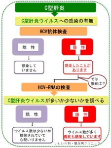 C型肝炎ウイルスの感染の検査