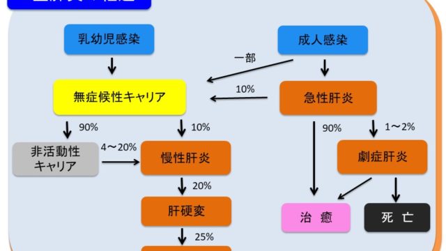 B型肝炎ウイルス いしい内科 糖尿病クリニック 肝臓専門医