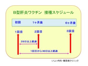 B型肝炎ワクチン いしい内科 糖尿病クリニック 肝臓専門医