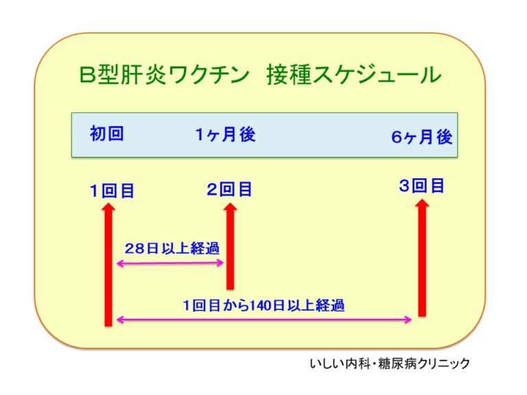 B型肝炎ワクチン いしい内科・糖尿病クリニック|肝臓専門医